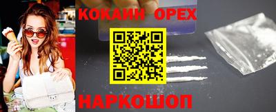 стаф Можга