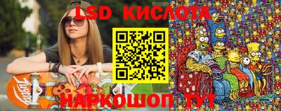 стаф Можга