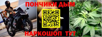 стаф Можга