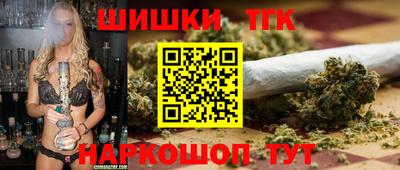 стаф Можга