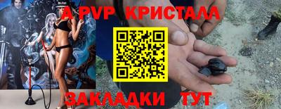 стаф Можга